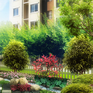 植物種植與養護